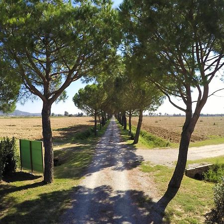 הוילה Terra Di קורטונה מראה חיצוני תמונה